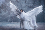 Angel horse